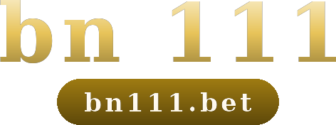 bn 111 logo